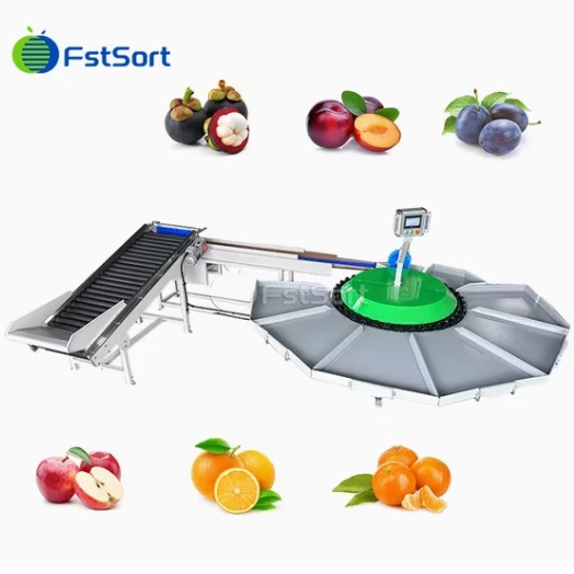 Citrus Circular Weight Sortearje Machine
